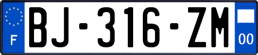 BJ-316-ZM