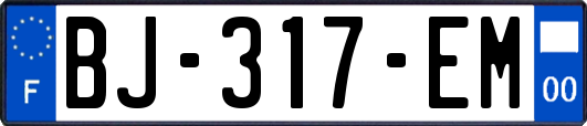 BJ-317-EM