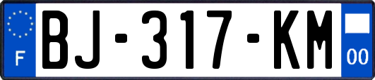BJ-317-KM
