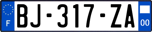 BJ-317-ZA