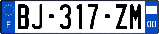 BJ-317-ZM