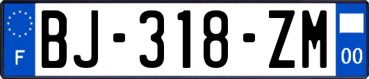 BJ-318-ZM