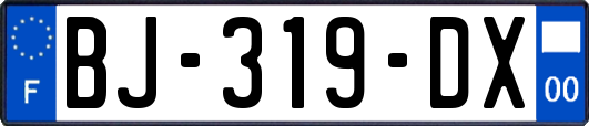 BJ-319-DX