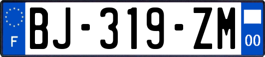 BJ-319-ZM