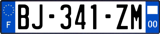 BJ-341-ZM