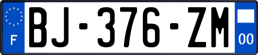 BJ-376-ZM