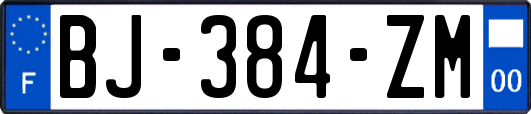 BJ-384-ZM
