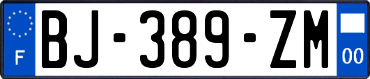 BJ-389-ZM