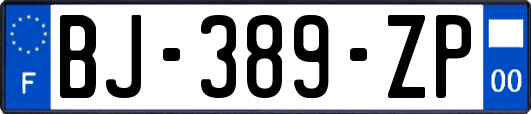 BJ-389-ZP