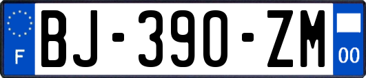 BJ-390-ZM