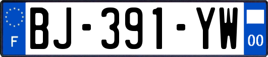 BJ-391-YW