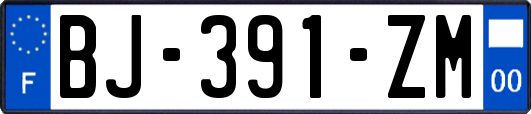 BJ-391-ZM