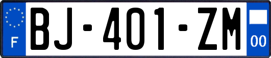 BJ-401-ZM