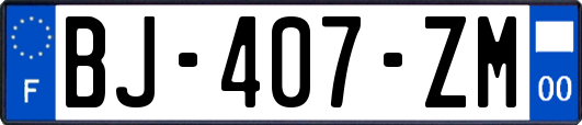 BJ-407-ZM