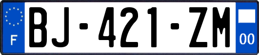 BJ-421-ZM