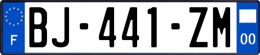 BJ-441-ZM