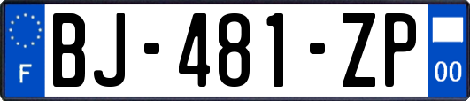 BJ-481-ZP