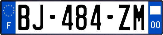 BJ-484-ZM