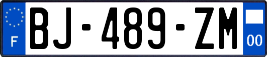 BJ-489-ZM