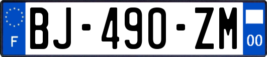 BJ-490-ZM