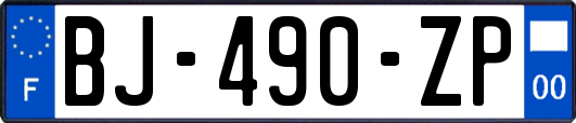 BJ-490-ZP