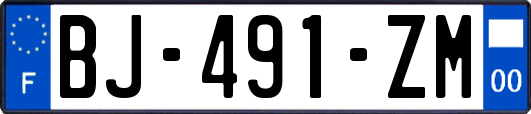 BJ-491-ZM