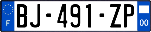 BJ-491-ZP