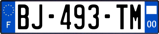 BJ-493-TM