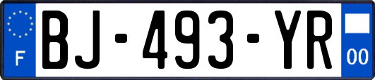 BJ-493-YR