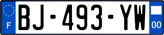BJ-493-YW