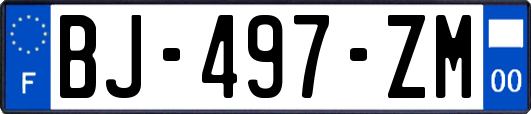 BJ-497-ZM