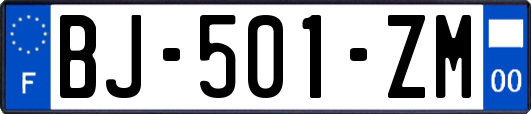 BJ-501-ZM