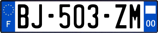 BJ-503-ZM