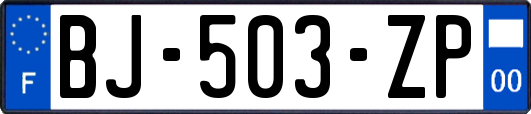 BJ-503-ZP