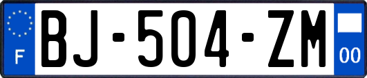 BJ-504-ZM