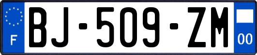 BJ-509-ZM