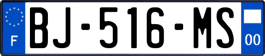 BJ-516-MS