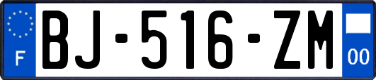 BJ-516-ZM
