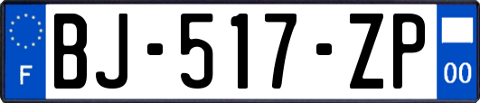 BJ-517-ZP