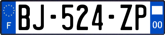 BJ-524-ZP