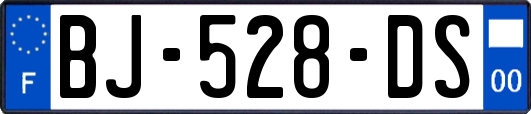 BJ-528-DS