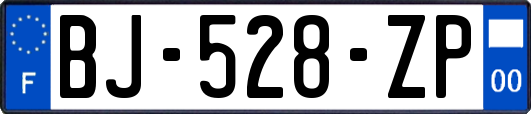 BJ-528-ZP