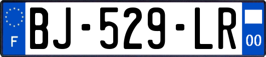 BJ-529-LR