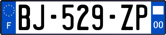 BJ-529-ZP
