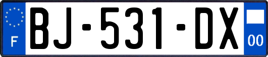 BJ-531-DX