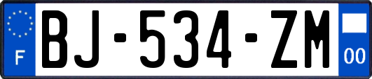 BJ-534-ZM