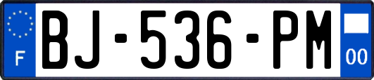 BJ-536-PM