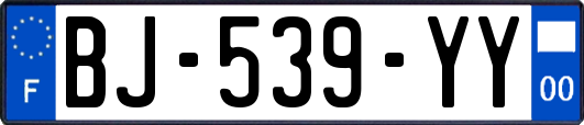 BJ-539-YY