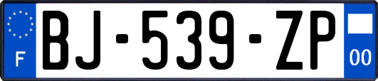 BJ-539-ZP