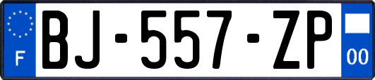BJ-557-ZP